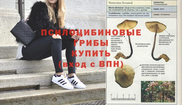 индика Алексеевка