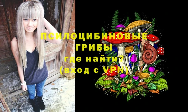 твердый Алзамай
