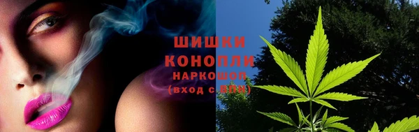 твердый Алзамай