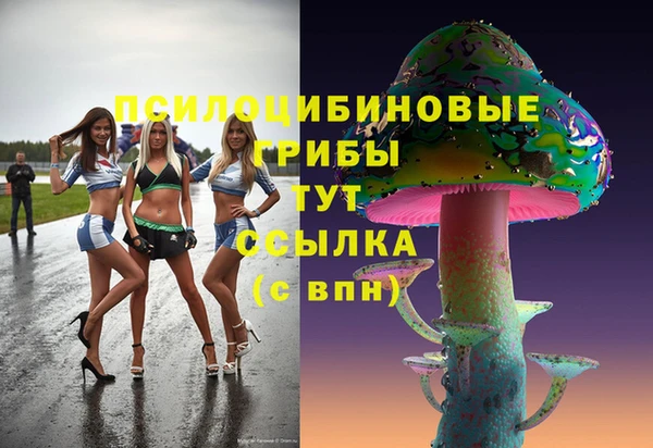 твердый Алзамай