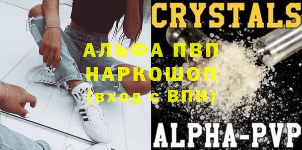 индика Алексеевка