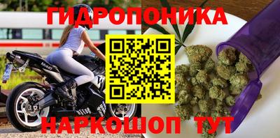 амф Партизанск