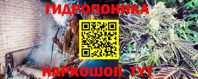 амф Партизанск