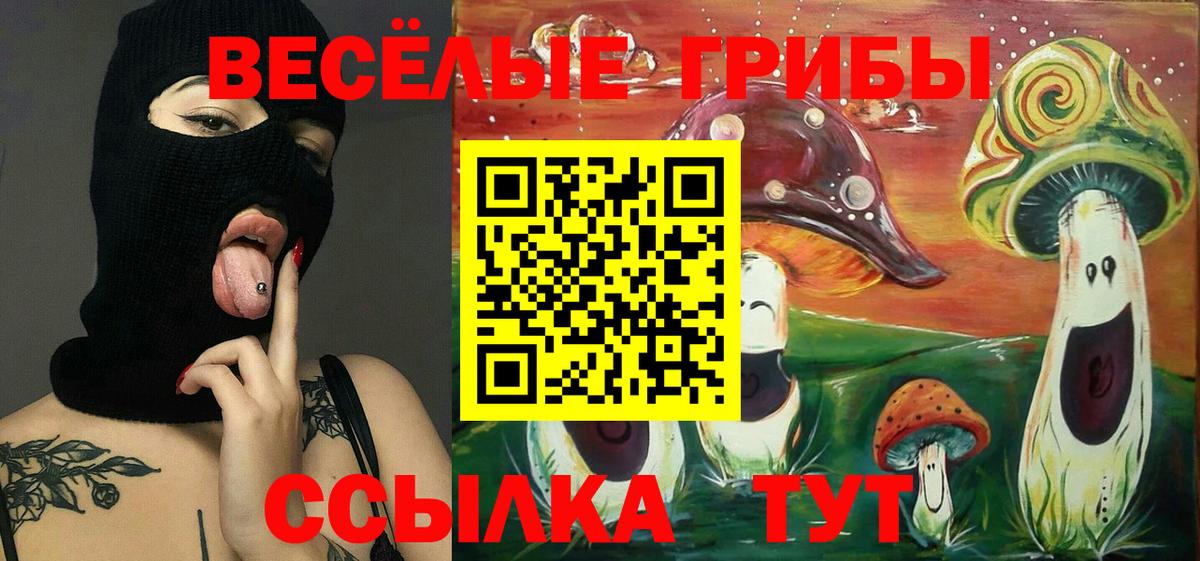 Галлюциногенные грибы Cubensis Пермь